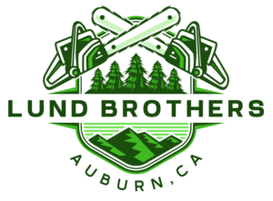 lund brothers landscape fire prevention