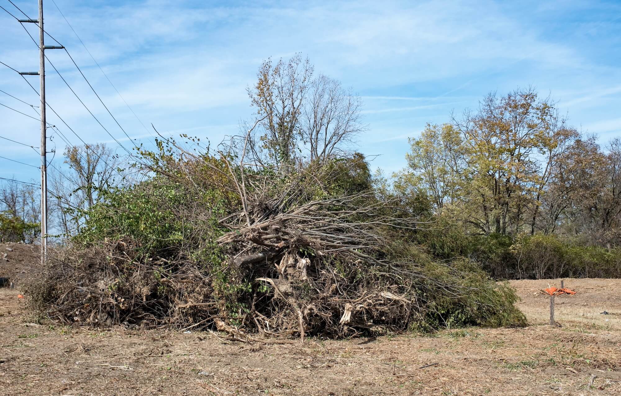 essential brush clearance tips