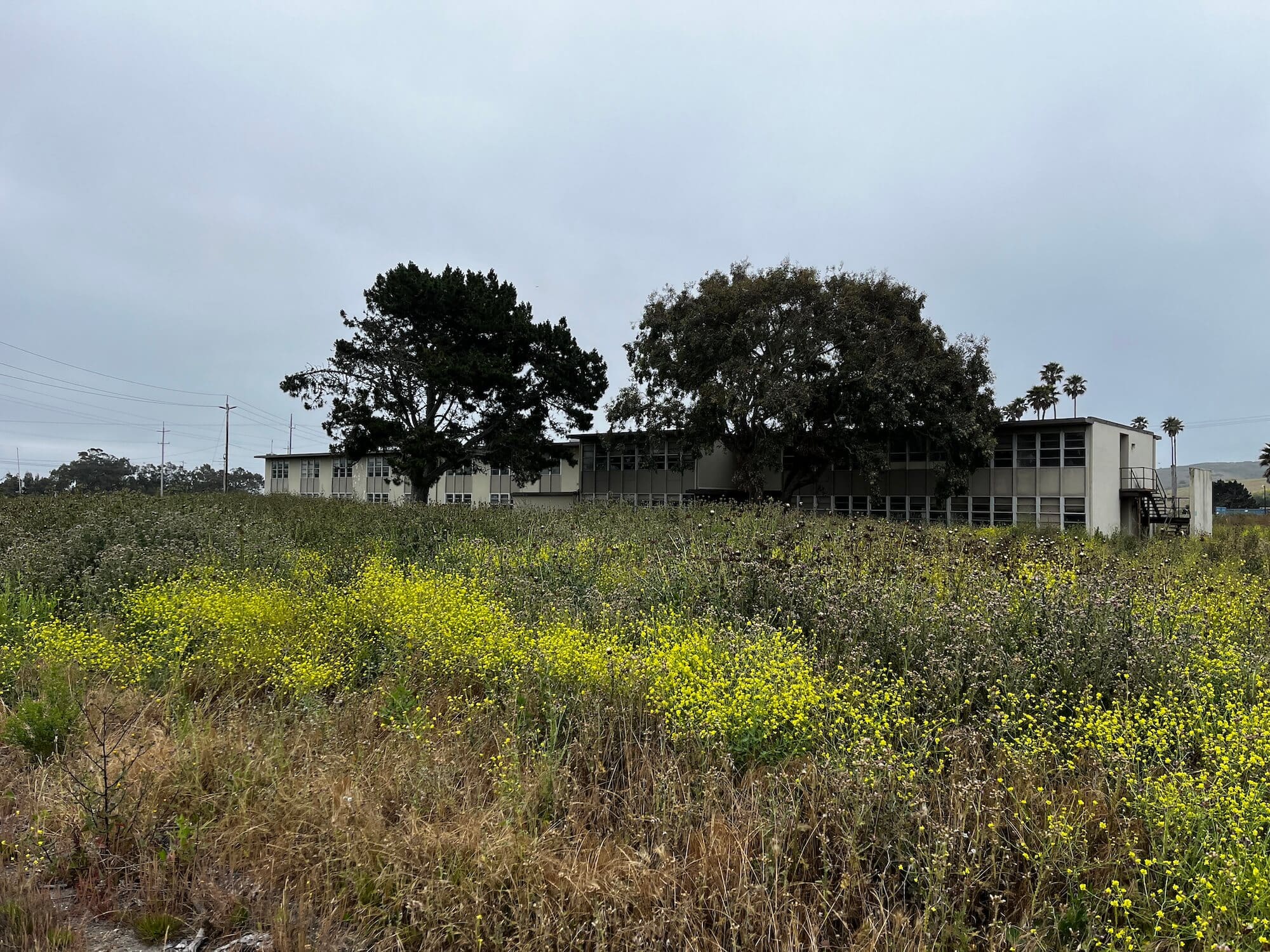 field clearing service auburn ca