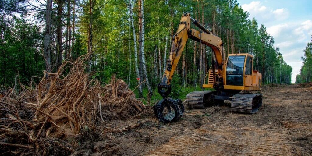 land clearing services auburn ca