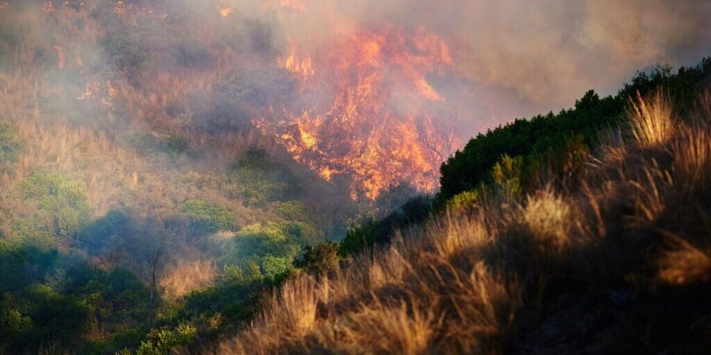 defensible space creation auburn ca